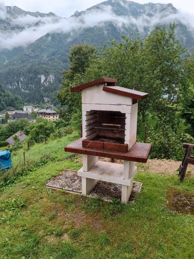 Ferienwohnung Im Nationalpark Gesaeuse Hieflau ภายนอก รูปภาพ